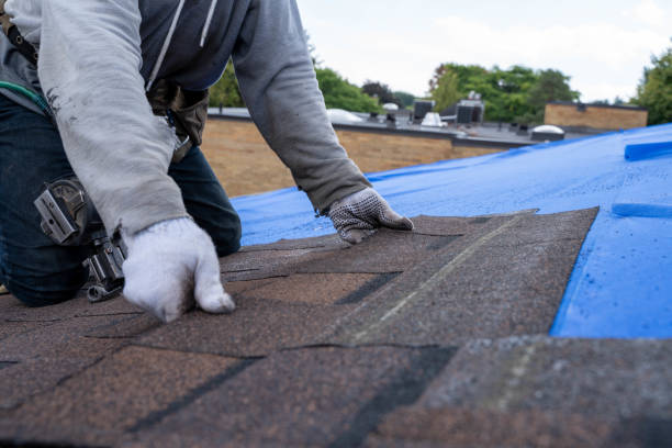 Best Roof Restoration Services  in Lake Shore, MN