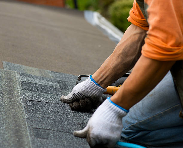Best Roof Repair Services  in Lake Shore, MN