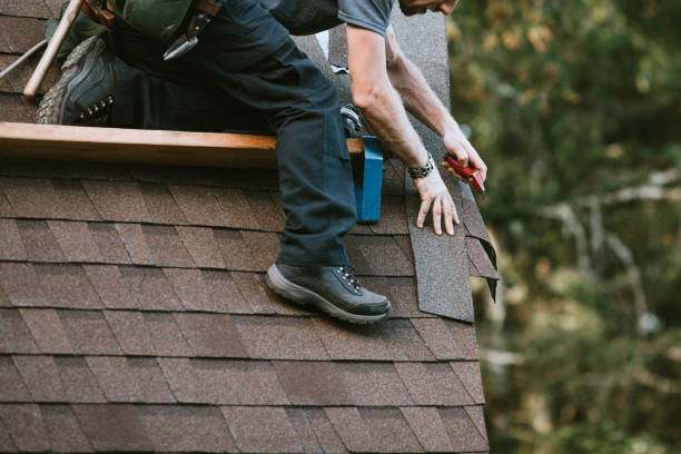 Best Roof Maintenance Services  in Lake Shore, MN