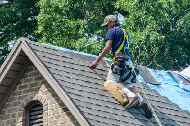 Best Best Roofing Contractors  in Lake Shore, MN